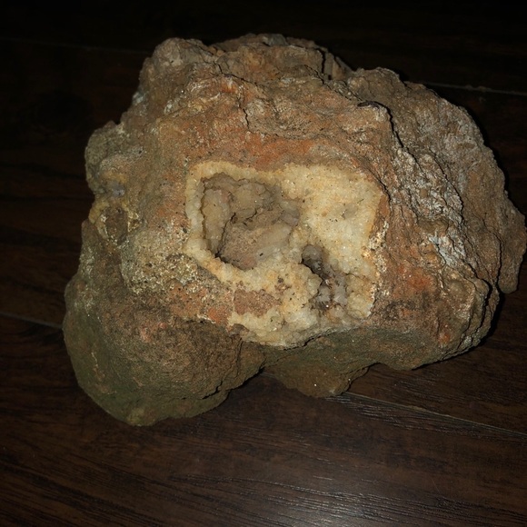 Ancient Ocean fossilized coral - Picture 3 of 6
